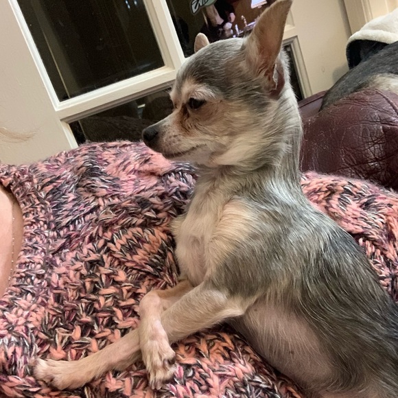 Meet your Posher, Nicole - Picture 1 of 1